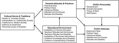 Frontiers Factors Affecting the Perception of Disability A